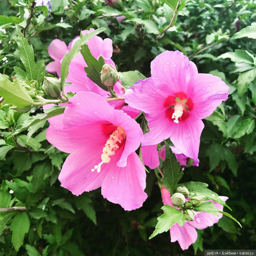 Путешествие одной феечки по Крыму.Часть 1 (фото 3)