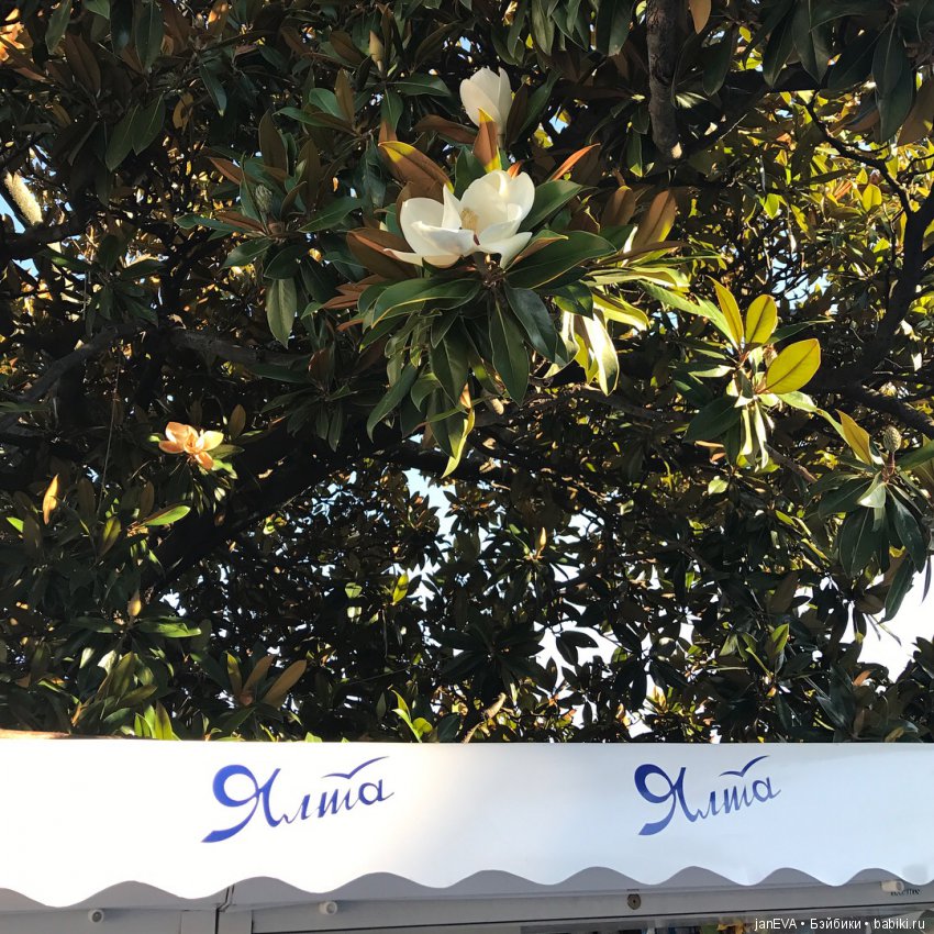 Путешествие одной феечки по Крыму. Часть 2 (фото 6)