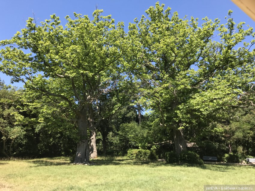 Воронцовский дворец в Крыму