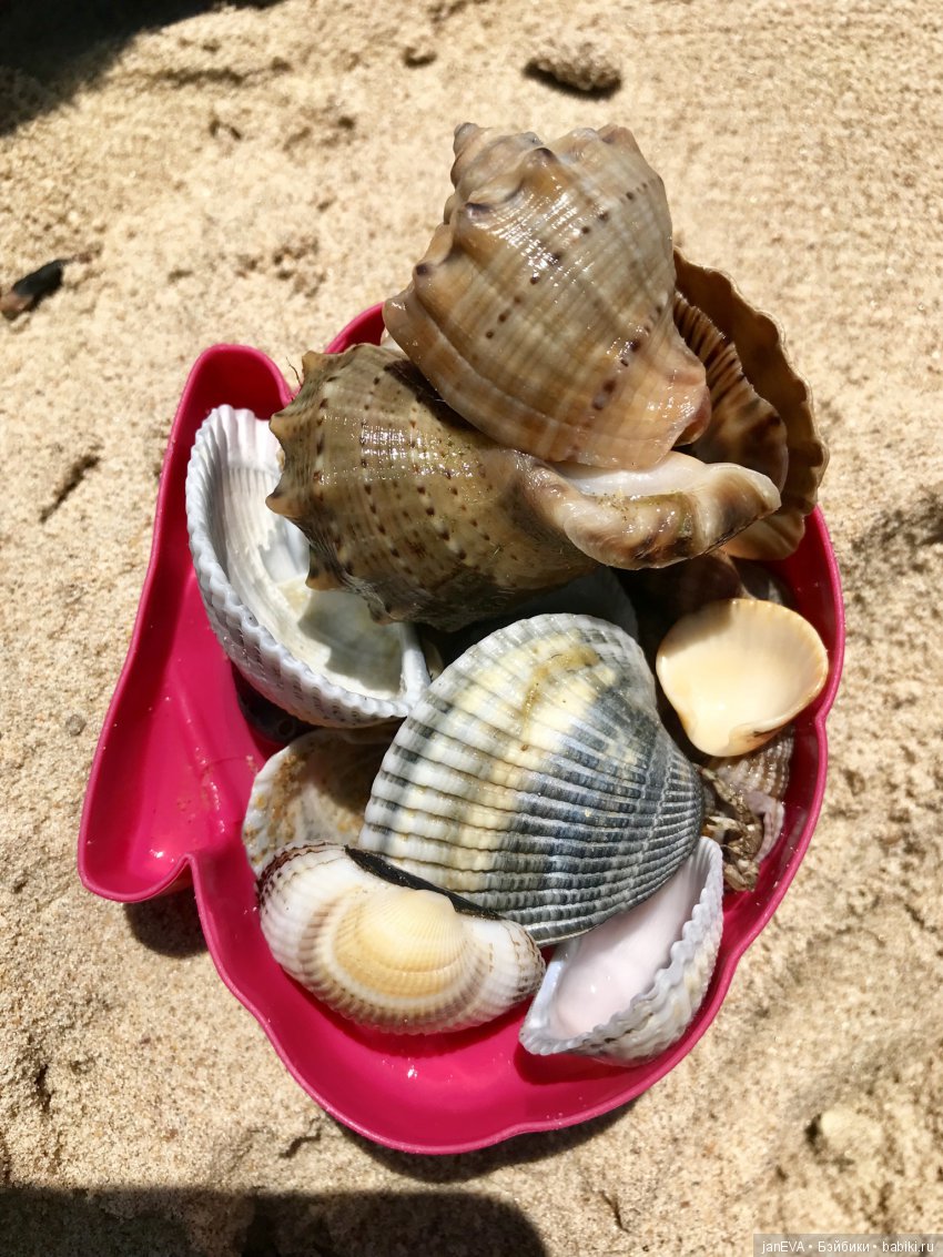 Один день на море с крузелинкой (фото 5)