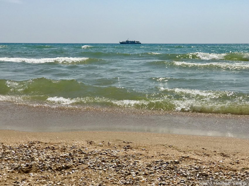 Джой и ее впечатления о море (фото 7)