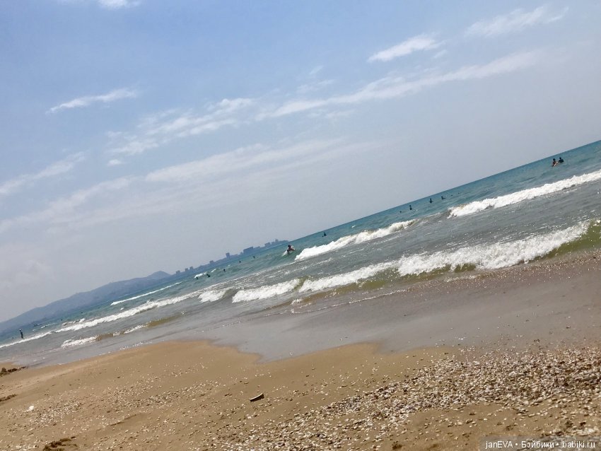 Джой и ее впечатления о море (фото 5)