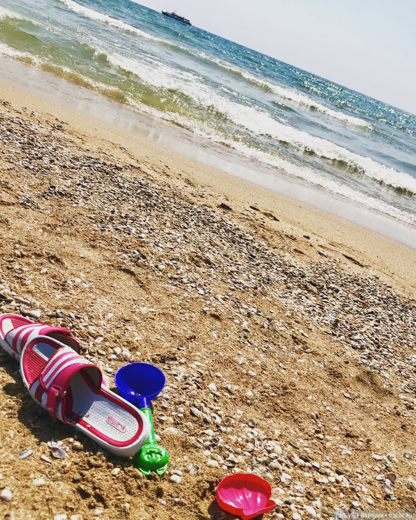 Джой и ее впечатления о море (фото 6)