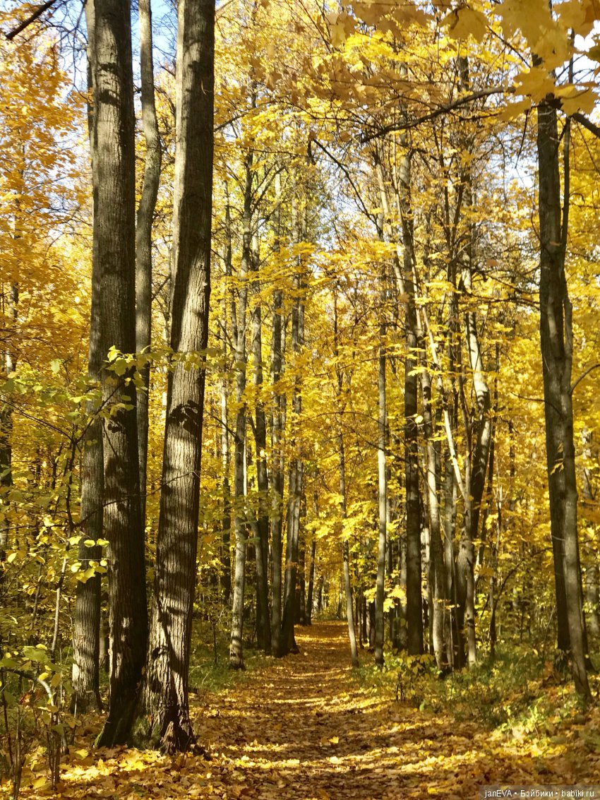 Осенний лес. Kruselings — Куклы Kathe Kruse (Кате/Кэте Крузе): фото (фото 10)