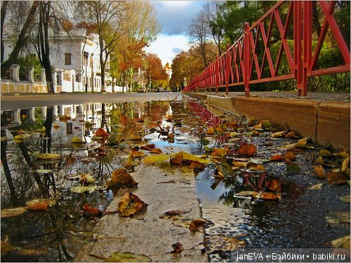 Осенний кукольный флешмоб.Топик-задание.День 3/3 (фото 3)