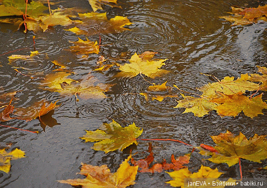 Осенний кукольный флешмоб.Топик-задание.День 3/3 (фото 2)