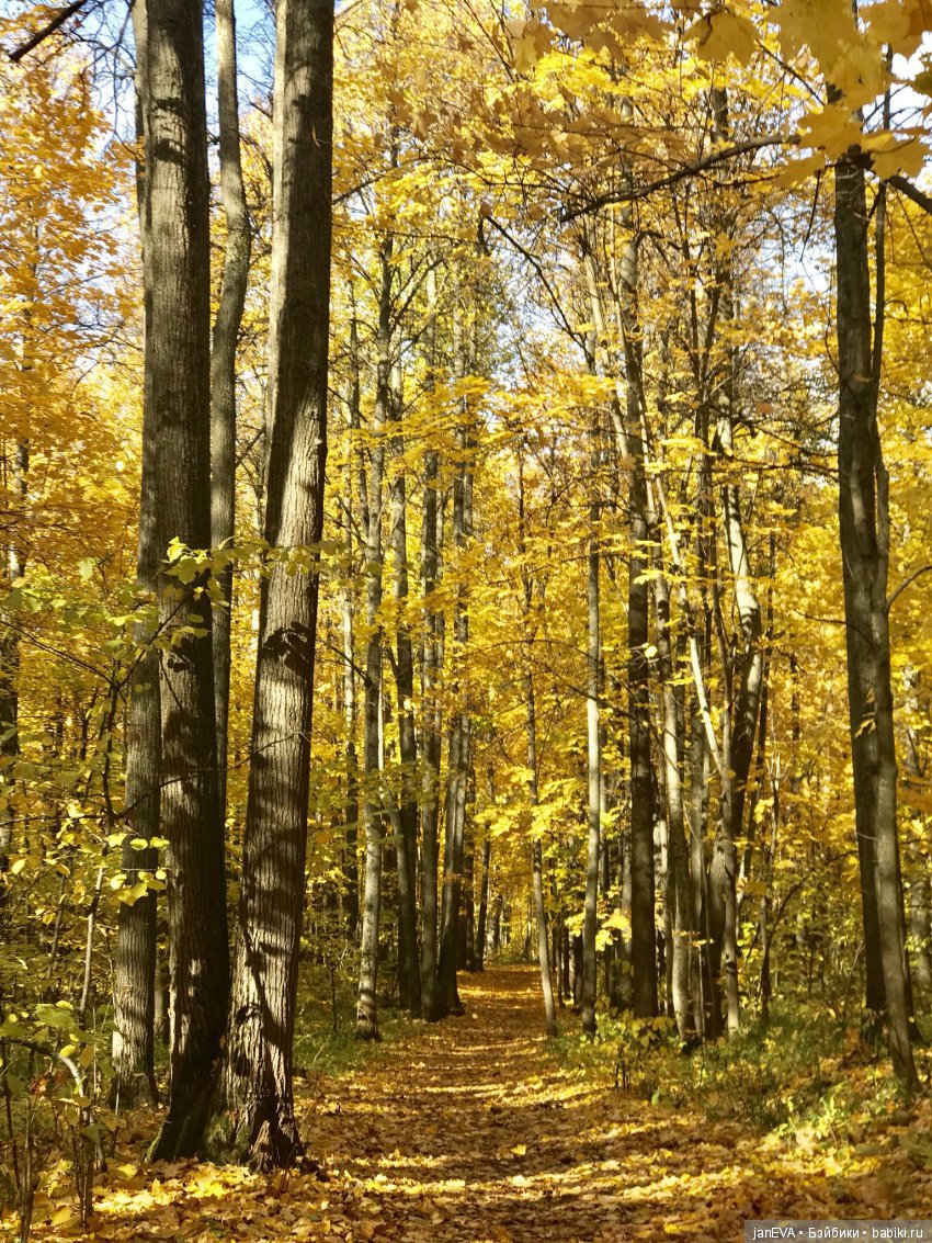 Осенний кукольный флешмоб.Топик-задание.День 2/3 (фото 2)