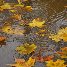 День 3/3. Лужи. Осенний кукольный марафон