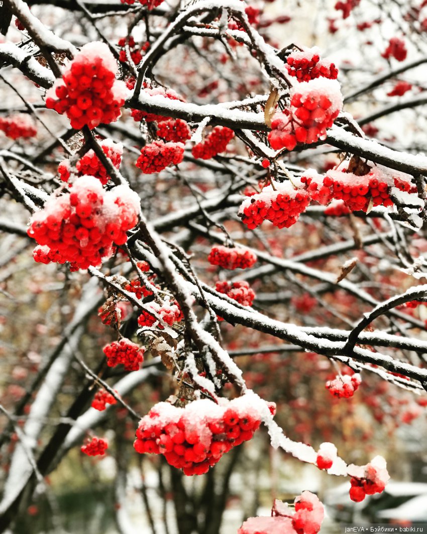 Первый снег.Без эмоций;) — Испанские куклы (разное): Vestida de Azul (фото 2)