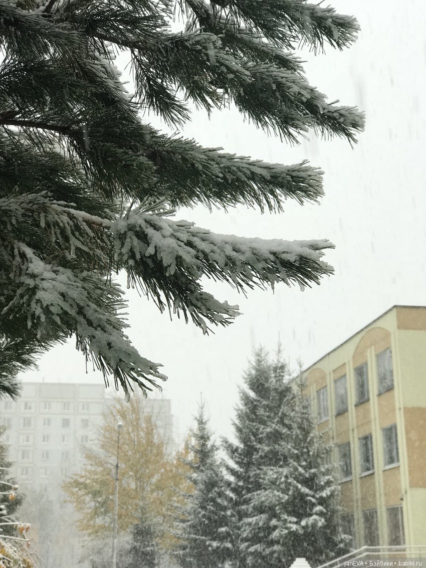 Первый снег.Без эмоций;) — Испанские куклы (разное): Vestida de Azul (фото 4)