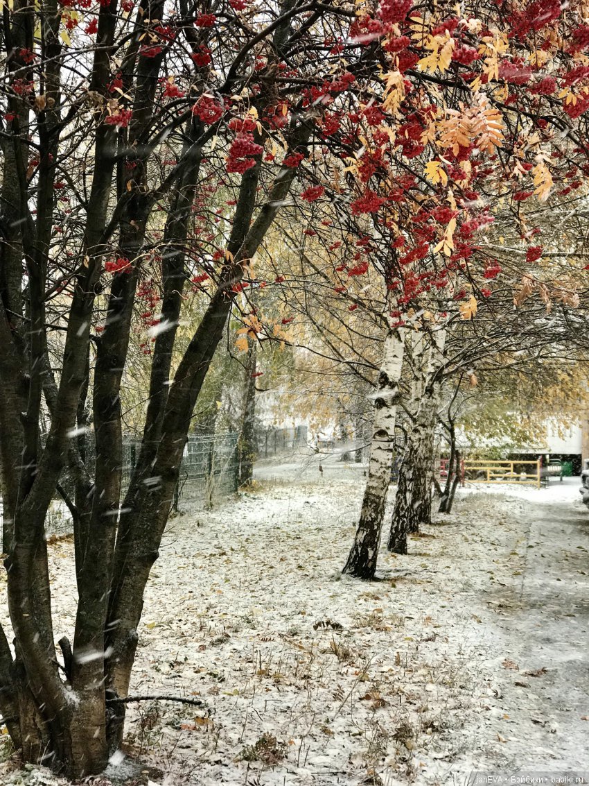 Первый снег.Без эмоций;) — Испанские куклы (разное): Vestida de Azul (фото 6)