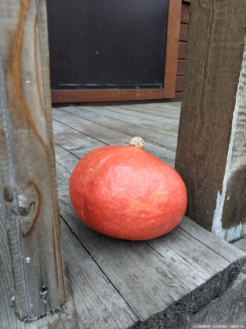 Топик с сюрпризами. Halloween