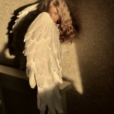 Между светом и тенью