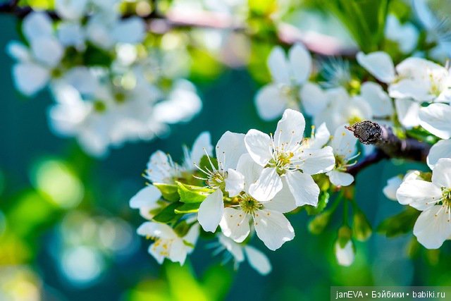 Весеннее обострение. Flashmob. Задание на 2 день (фото 4)