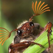Весеннее обострение. Flashmob. Задание