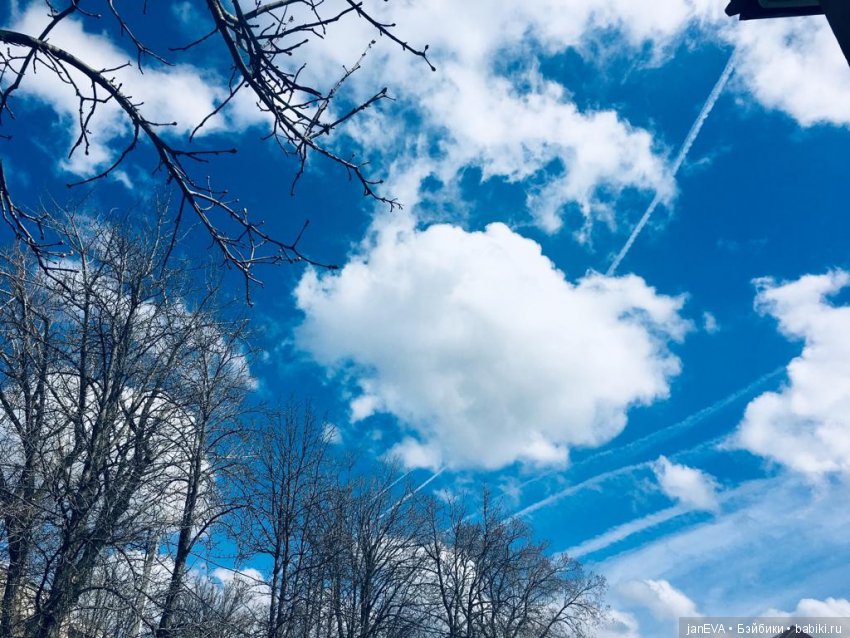 Весеннее обострение.Flashmob.Задание на 3 день (фото 2)