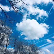 Flashmob. Весеннее обострение. Покажи мне весеннее небо - день 3