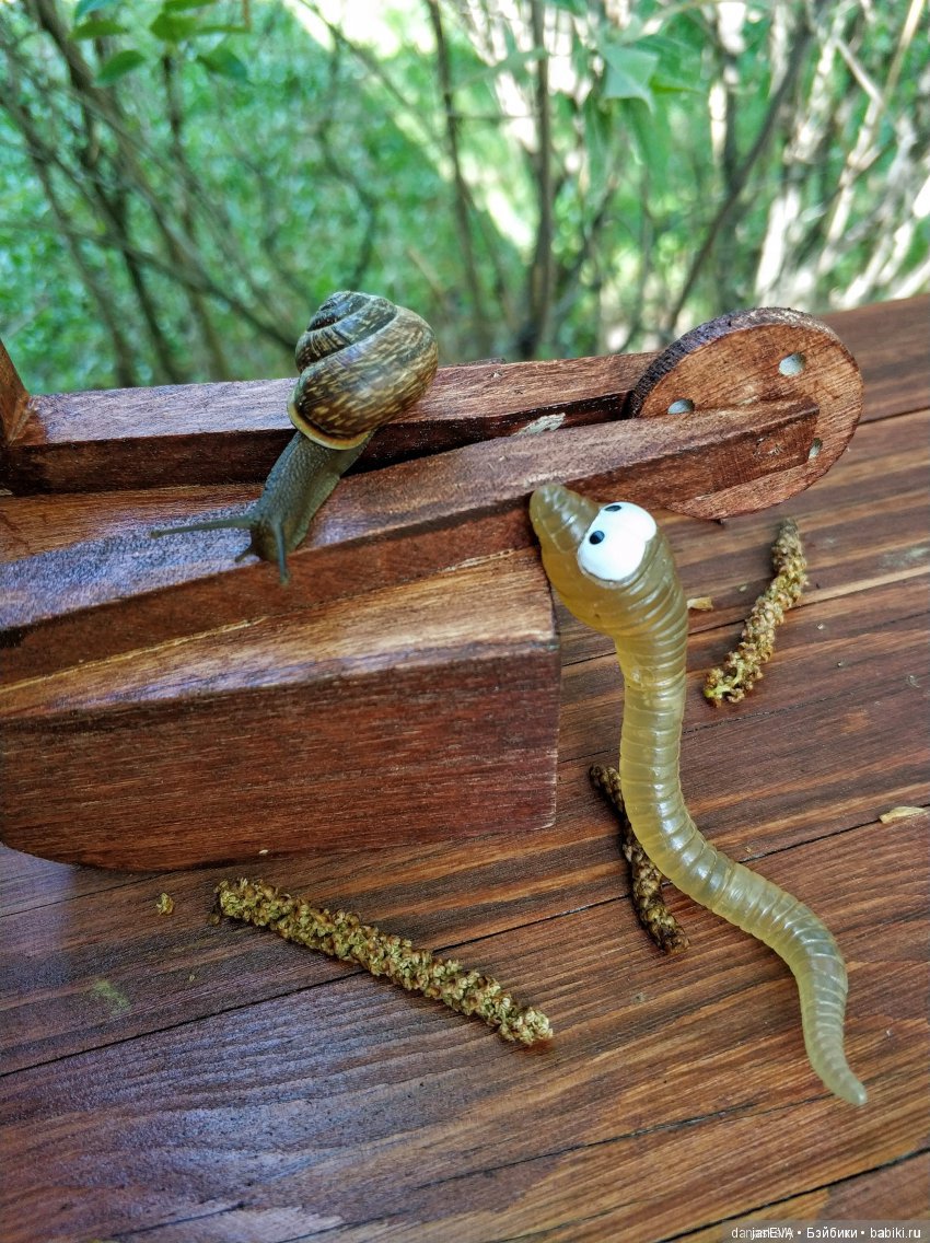 Участникам флешмоба «Весеннее обострение»