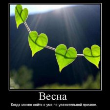 Участникам флешмоба «Весеннее обострение»