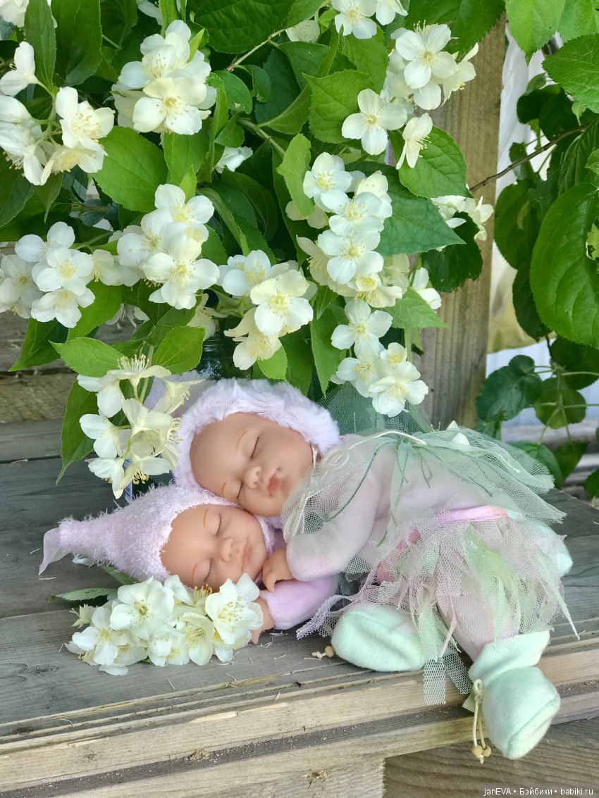 Жасминовый аромат. Anne Geddes (фото 7)