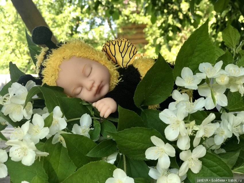 Жасминовый аромат. Anne Geddes (фото 9)
