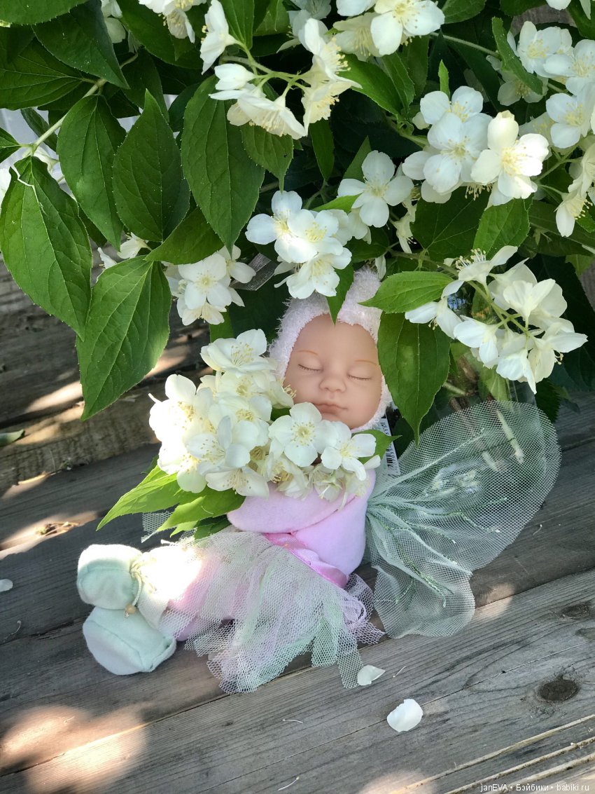 Жасминовый аромат. Anne Geddes (фото 5)
