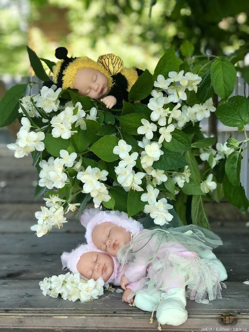 Жасминовый аромат. Anne Geddes (фото 8)