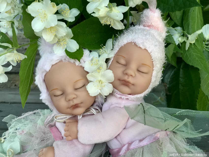 Жасминовый аромат. Anne Geddes