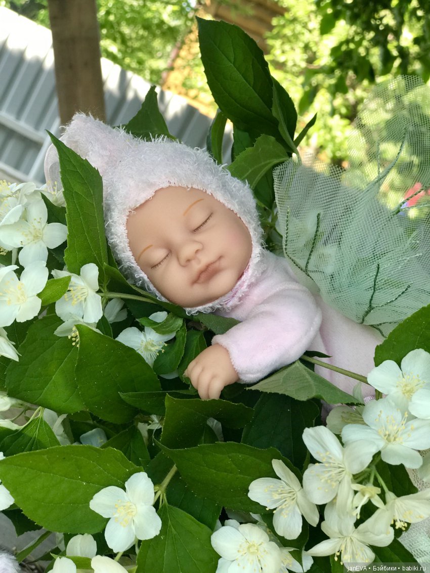 Жасминовый аромат. Anne Geddes