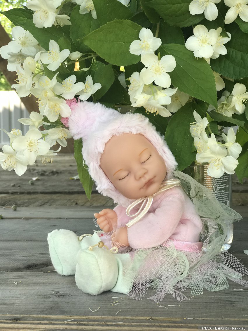 Жасминовый аромат. Anne Geddes