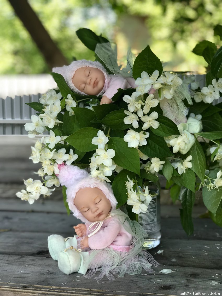Жасминовый аромат. Anne Geddes