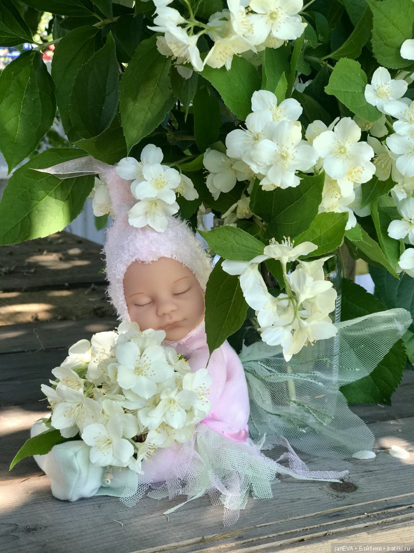 Жасминовый аромат. Anne Geddes (фото 3)