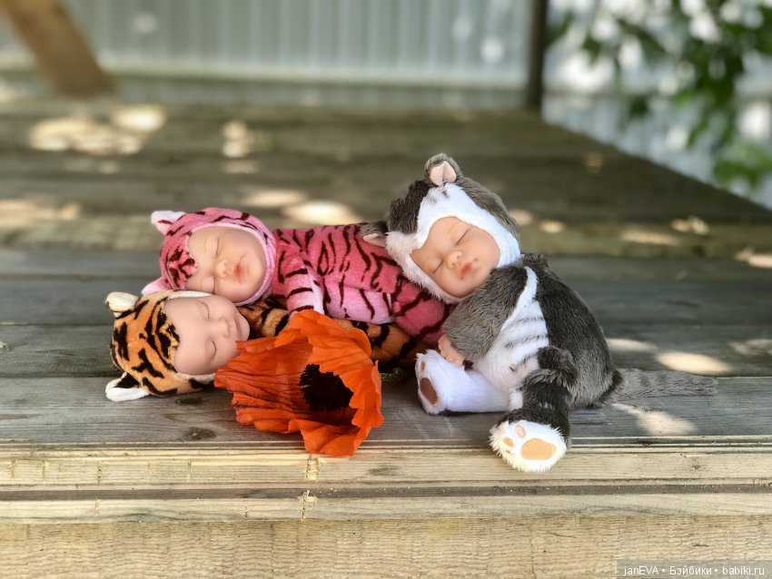 Цветочек Аленький. Anne Geddes