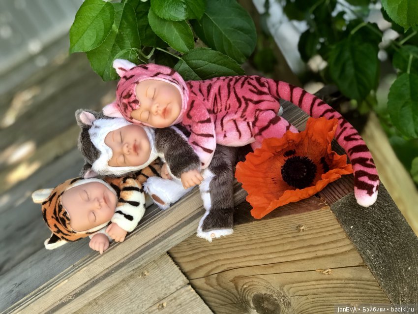 Цветочек Аленький. Anne Geddes (фото 6)