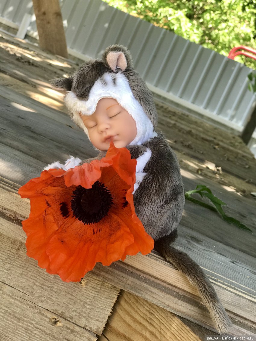 Цветочек Аленький. Anne Geddes (фото 3)