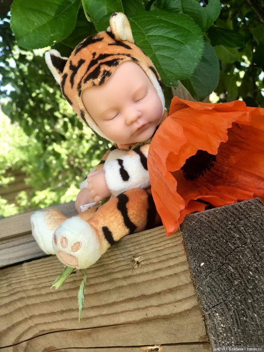 Цветочек Аленький. Anne Geddes (фото 10)