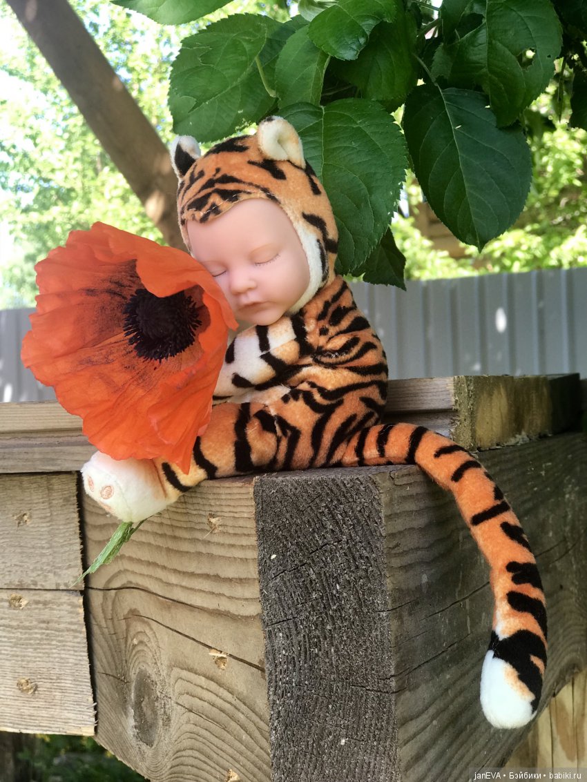 Цветочек Аленький. Anne Geddes (фото 8)