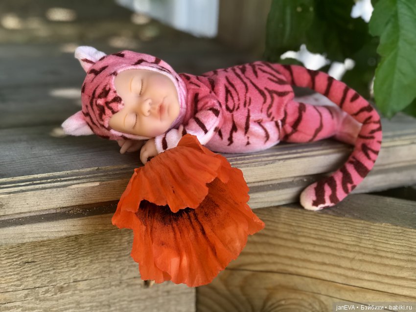 Цветочек Аленький. Anne Geddes (фото 7)