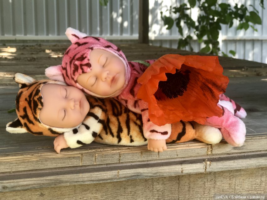 Цветочек Аленький. Anne Geddes (фото 4)