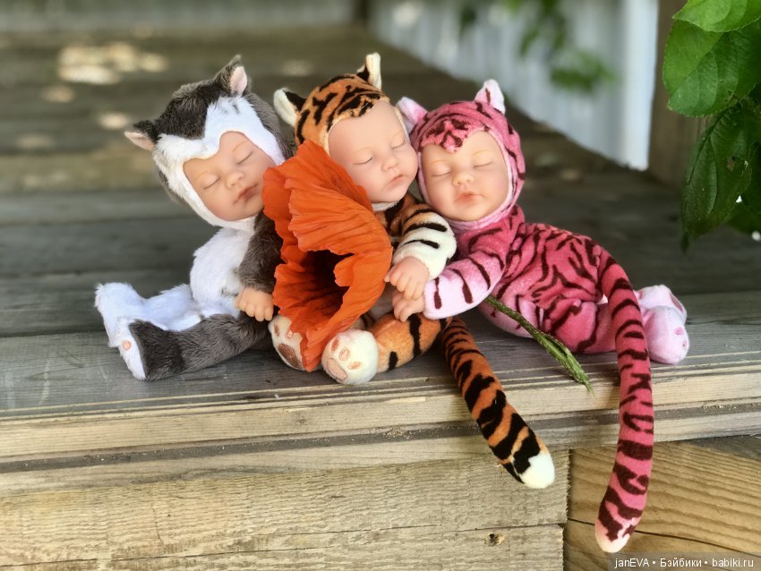 Цветочек Аленький. Anne Geddes