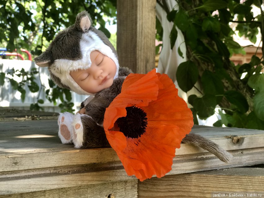 Цветочек Аленький. Anne Geddes (фото 2)