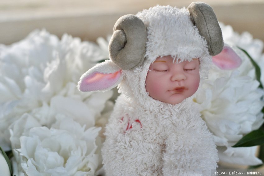 Белые облака для барашка. Anne Geddes (фото 10)