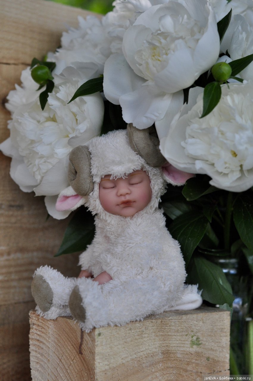 Белые облака для барашка. Anne Geddes (фото 2)