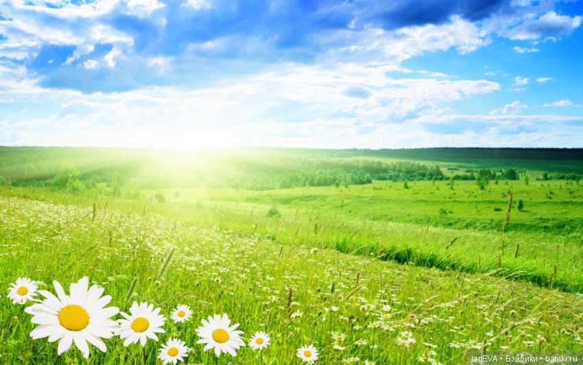 Flashmob на букву «Л» — Кукольные флешмобы: Эстафеты (фото 3)