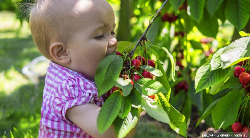 Flashmob на букву «Л».Задание на 2 июля (фото 3)