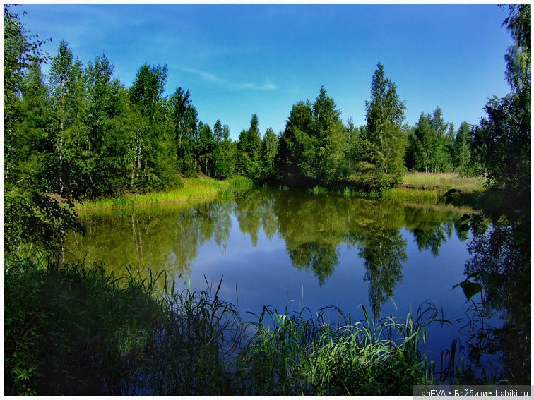Flashmob на букву «Л».Задание на 1 июля (фото 2)