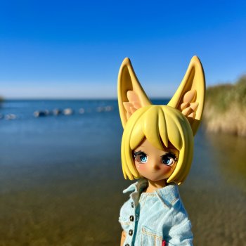 Заяц-Лиса путешествует…