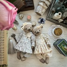 Мои мишки Teddy