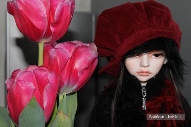 Терренс,D.I.M