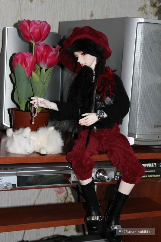 Терренс,D.I.M